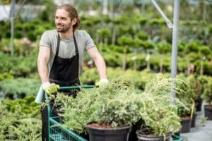 Una sfida importante per l'economia italiana