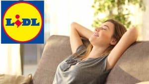 apparecchio Lidl a 29,99 euro polverizza le vendite di condizionatori d'aria
