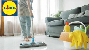 articolo indispensabile per rendere più semplice la pulizia della tua casa