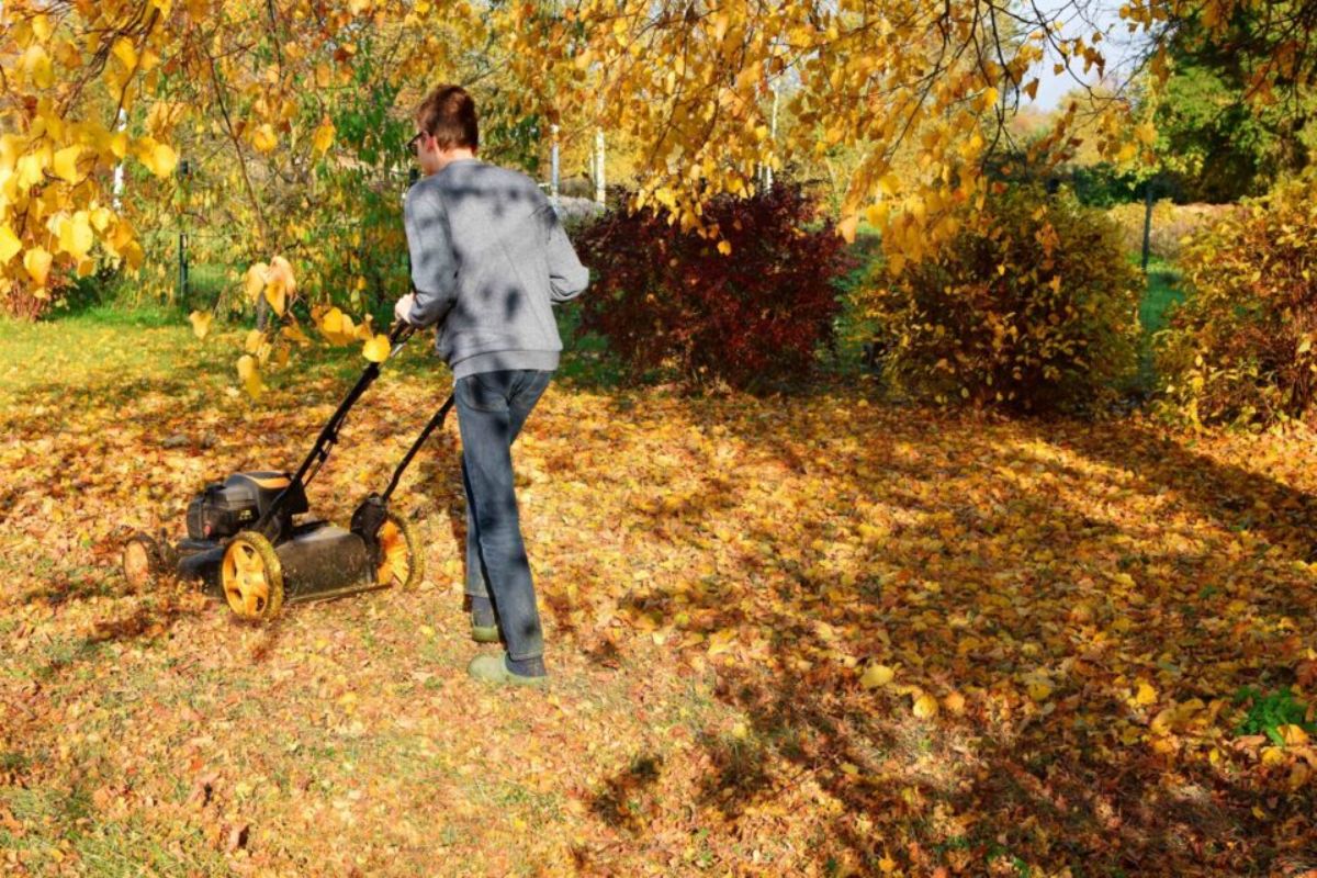 il trucco poco conosciuto che vi farà venire voglia di curare il vostro giardino
