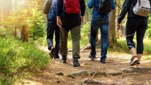 questo raro fungo, spesso calpestato durante le passeggiate, può valere fino a 1.000 euro