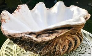 Una perla da 100 milioni di euro scoperta sotto un materasso