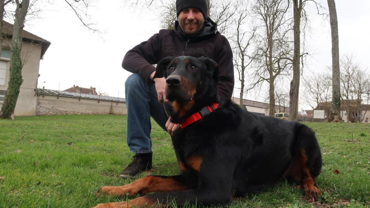 Il loro cane porta alla luce 400.000 euro