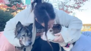 Questa donna ha percorso più di 2.500 km con soli 1.000 euro