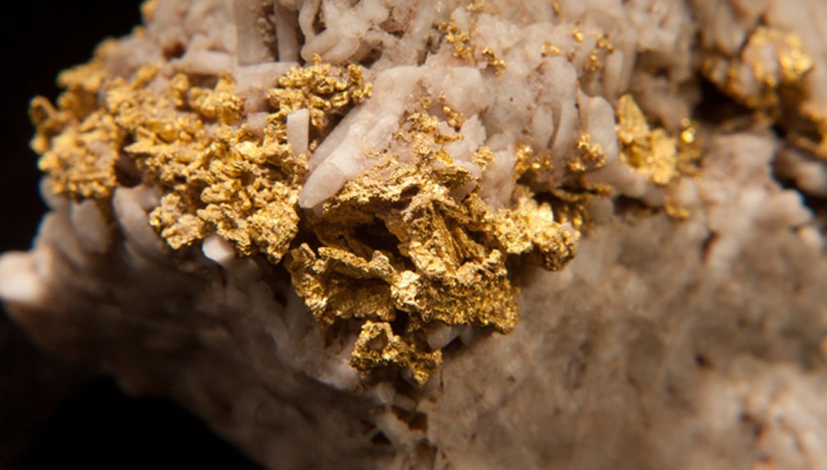 I ricercatori svelano i segreti che si celano dietro il mistero