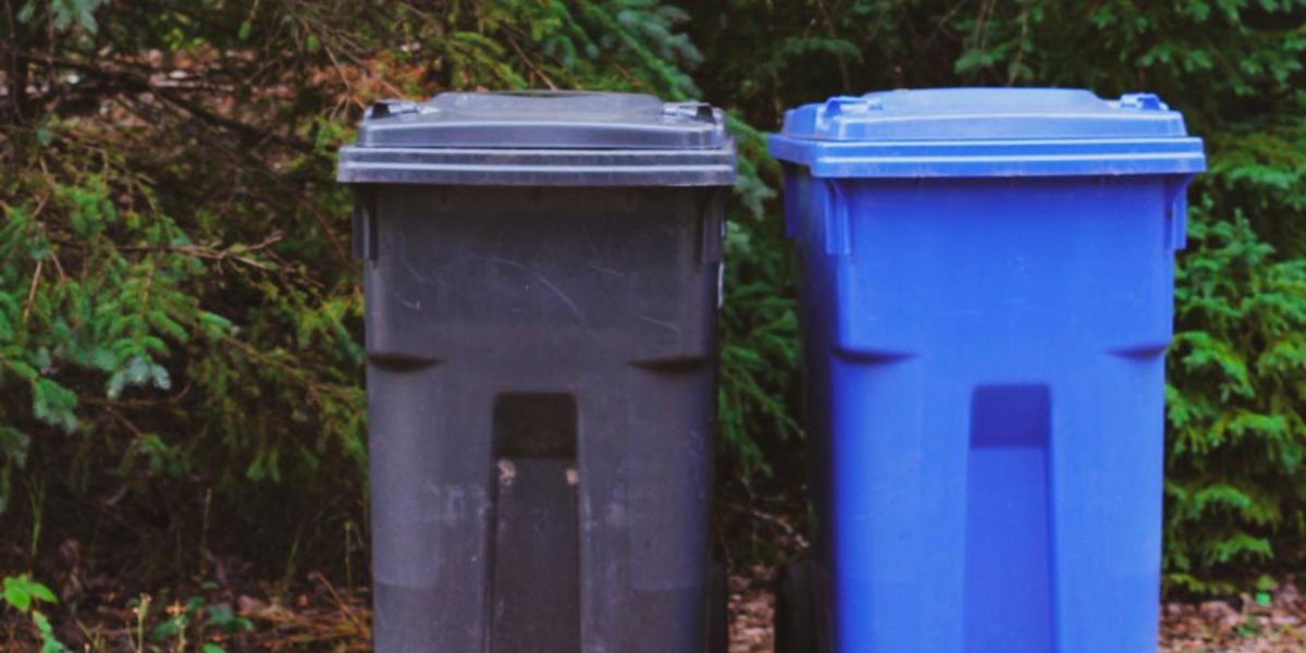 trova un tesoro in una pattumiera e decide di tenerlo