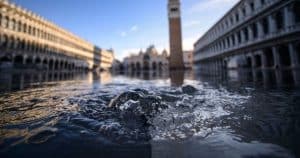 I castori evitano che una città europea venga spazzata via, risparmiando oltre un milione di euro in lavori di costruzione
