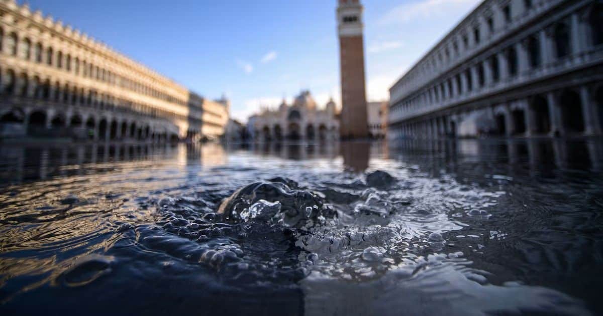 I castori evitano che una città europea venga spazzata via, risparmiando oltre un milione di euro in lavori di costruzione