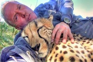 Un fotografo si sveglia con un ghepardo al suo fianco la storia di un incontro spaventoso