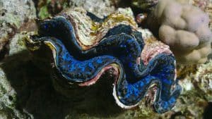 Dormiva su un tesoro da 100 milioni di euro 10 anni dopo, questo pescatore