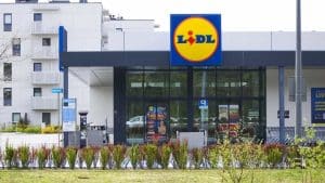 Questo articolo economico di Lidl è perfetto per sconfiggere il caldo di quest'estate