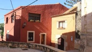 La sua casa è occupata abusivamente, lei getta... un nido di vespe all'interno per cacciare gli occupanti